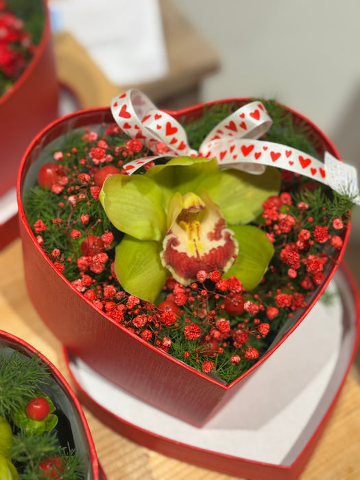 Flower box cuore rosso in velluto (3 misure)
