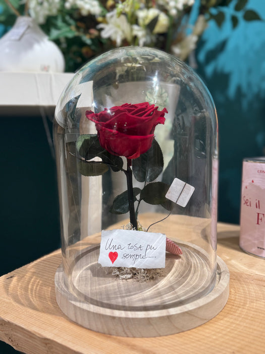 Campana di vetro 25 cm. con rosa stabilizzata