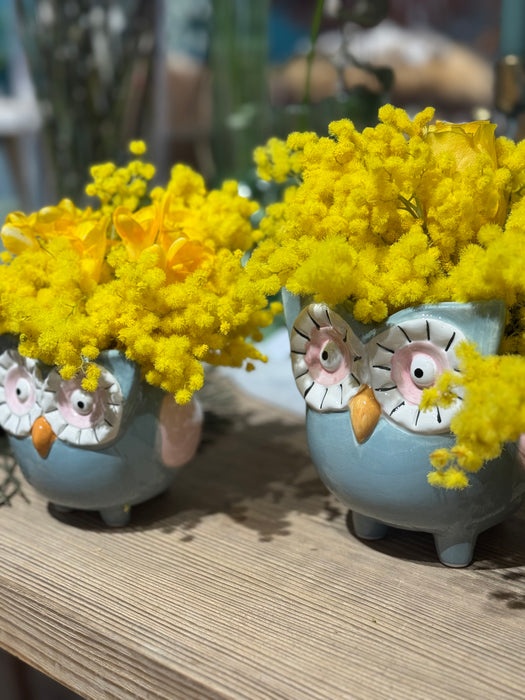 Gufetti in ceramica con mimosa e fiori