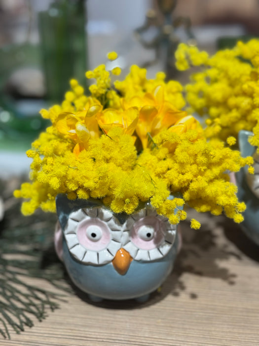 Gufetti in ceramica con mimosa e fiori