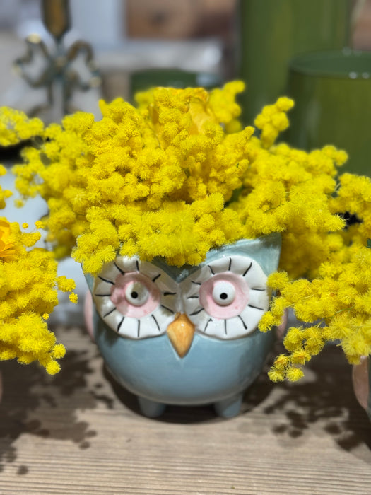 Gufetti in ceramica con mimosa e fiori