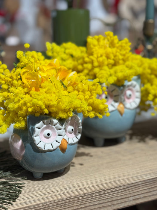 Gufetti in ceramica con mimosa e fiori