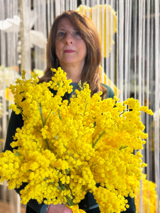 Add Mimosa to our bouquets