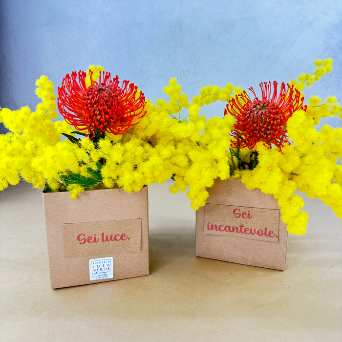 Handbag with mimosa and roses