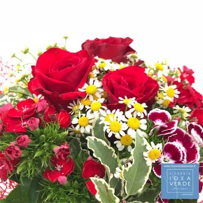 Bouquet Mazzo Rose Garofanini Aspidistria