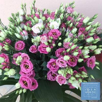 Bouquet Mazzo 30 Lisianthus Bianchi e Lilla