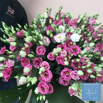 Bouquet Mazzo 30 Lisianthus Bianchi e Lilla