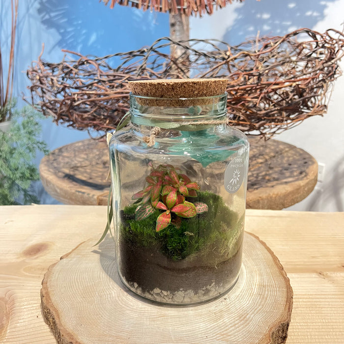 Terrarium 3
