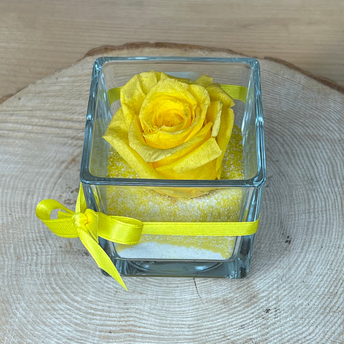 Rosa stabilizzata: Gialla con cubo di vetro e sabbia