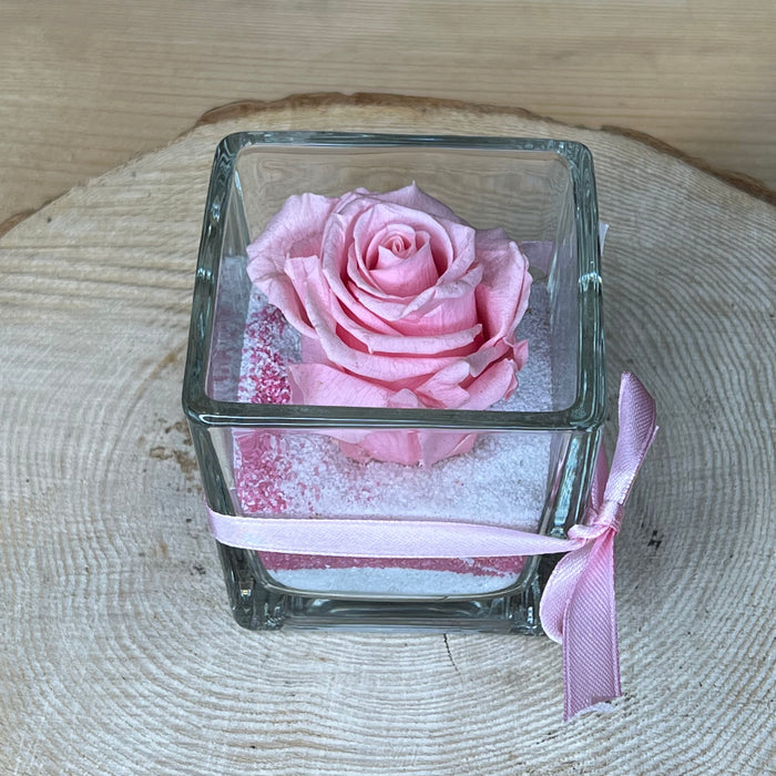 Rosa stabilizzata: Rosa con cubo di vetro e sabbia