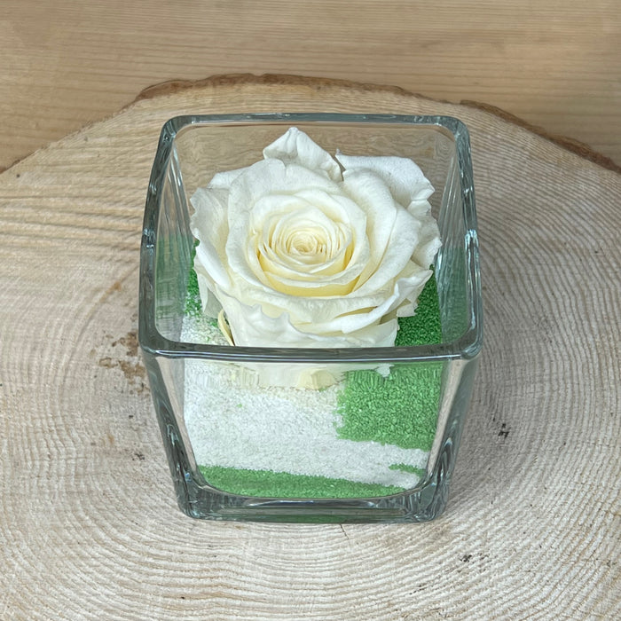 Rosa stabilizzata: Bianca con cubo di vetro e sabbia