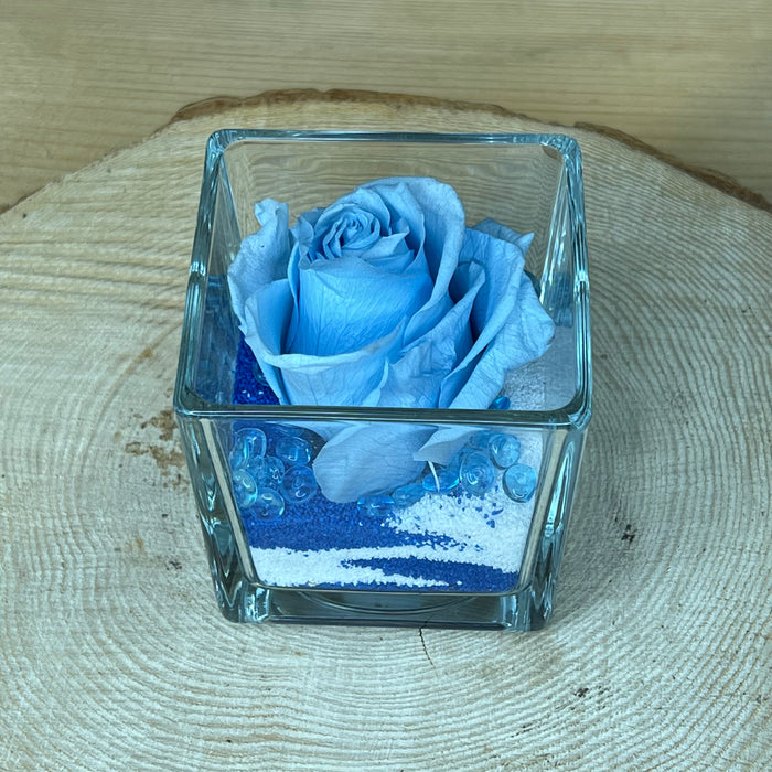 Rosa stabilizzata: Azzurra con cubo di vetro e sabbia
