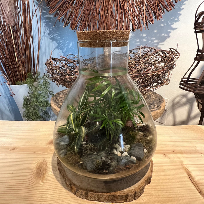Terrarium