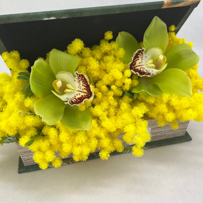 Il libro di mimosa e orchidee