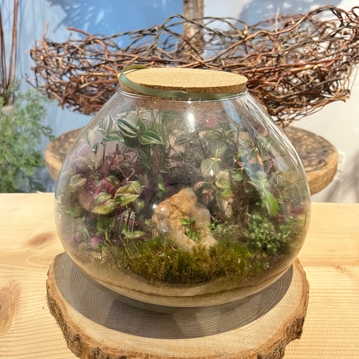 Terrarium 1
