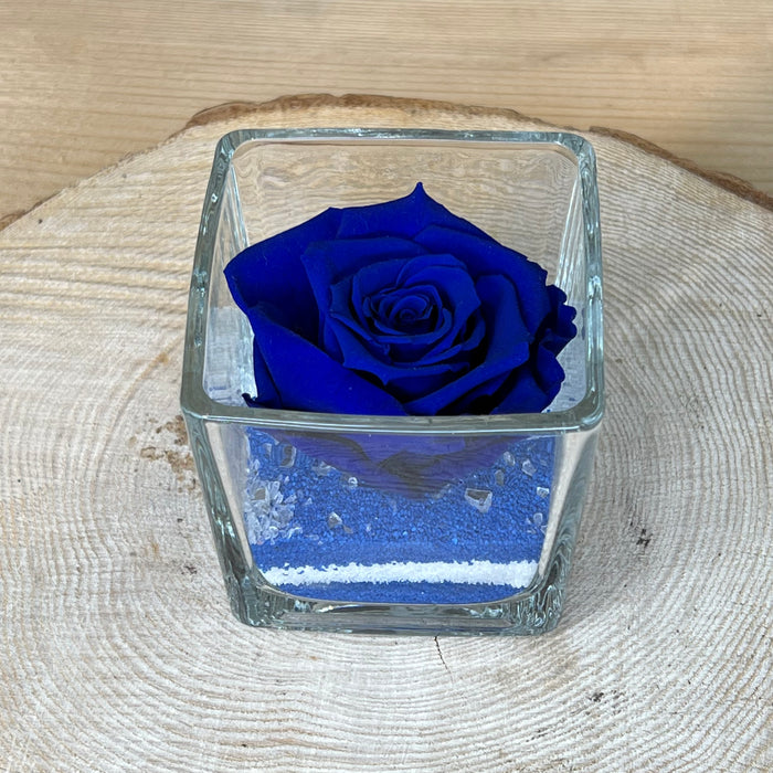 Rosa stabilizzata: Blu con cubo di vetro e sabbia — Fioreria Idea