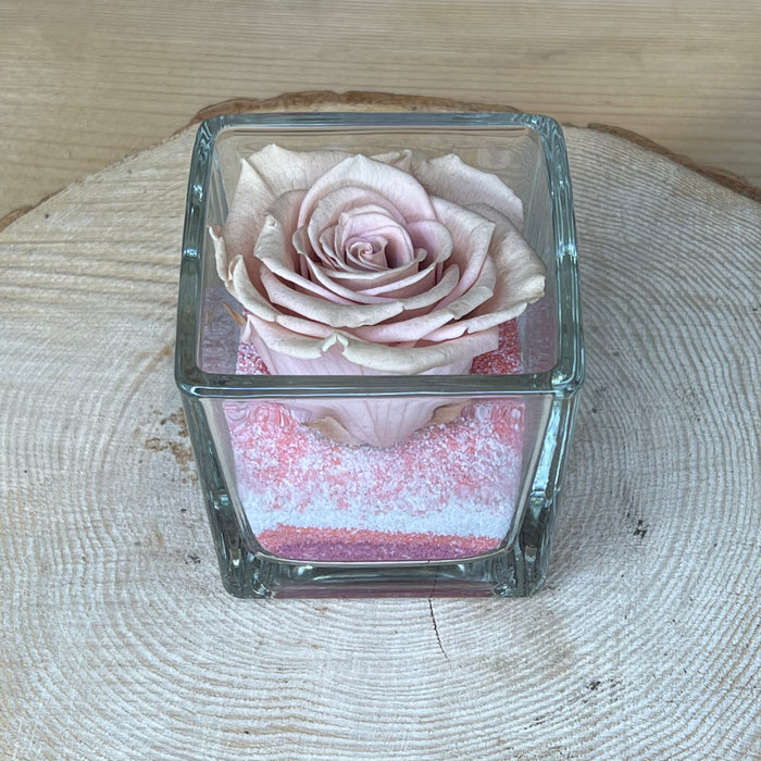 Rosa stabilizzata: Lilla con cubo di vetro e sabbia