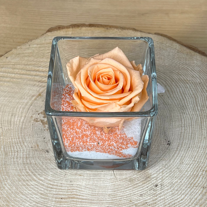 Rosa stabilizzata: Pesca con cubo di vetro e sabbia