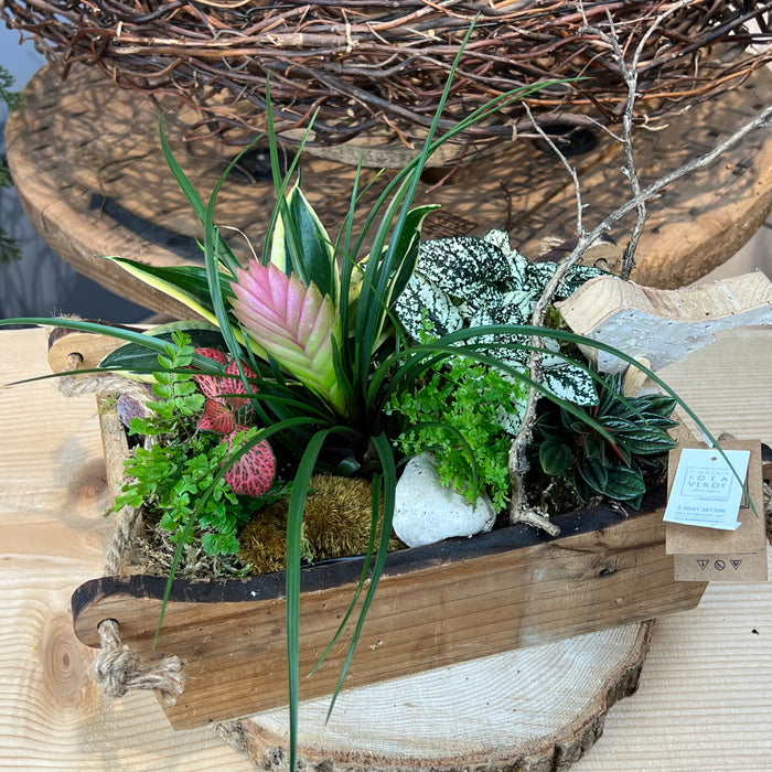 Composizione floreale con piante in cassetta di legno