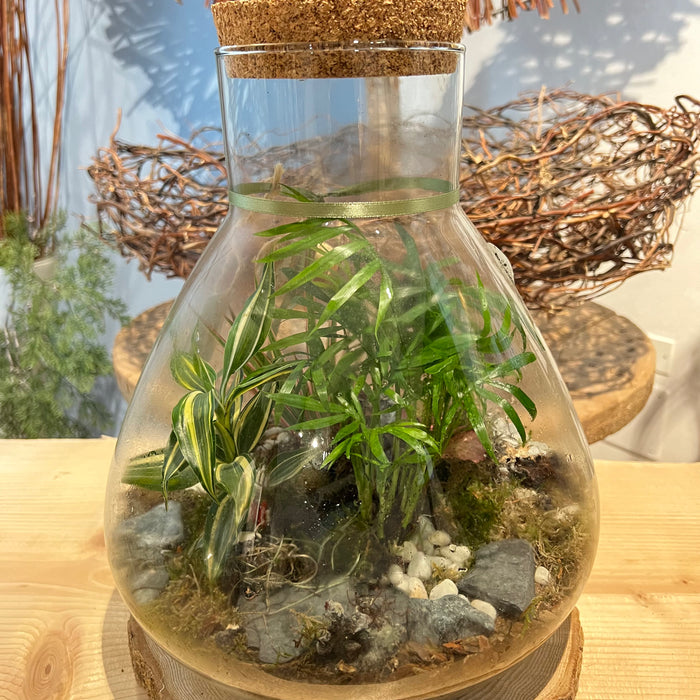 Terrarium