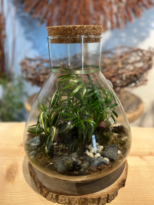 Terrarium