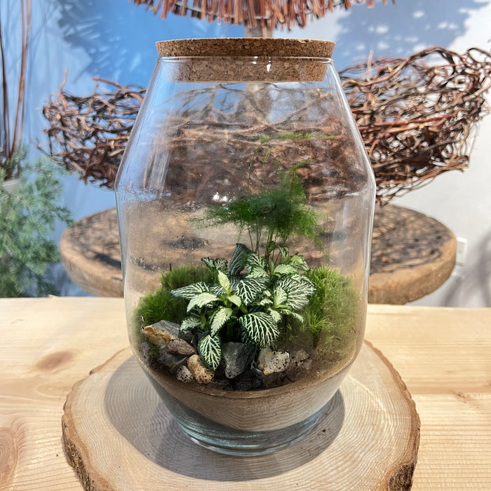 Terrarium 2