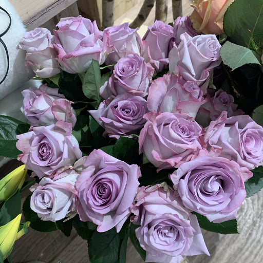 Rosa lilla 50 cm. fiori-rimini