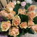 Rosa pesca 50 cm. fiori-rimini