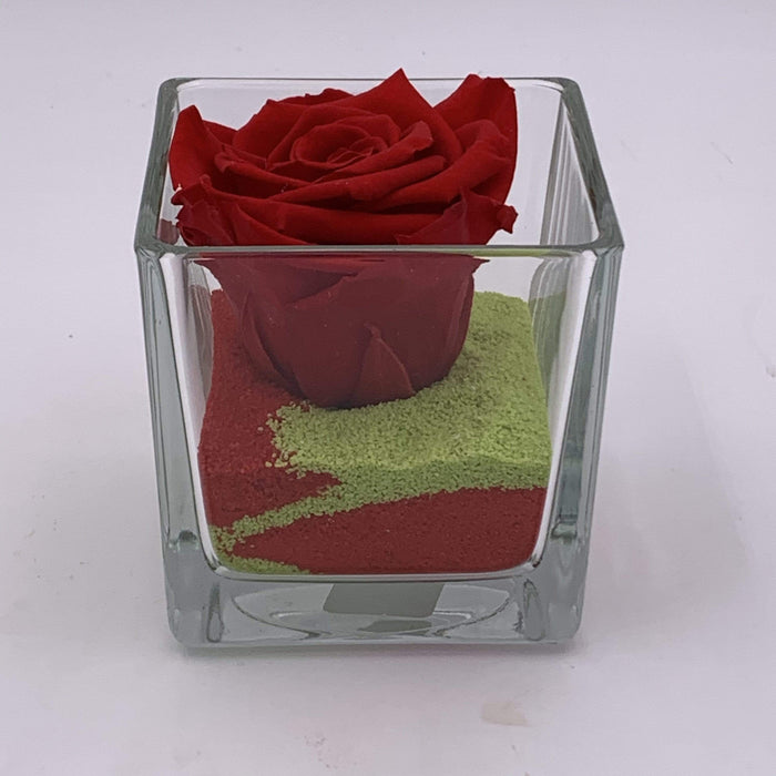 Rosa stabilizzata: Rossa con cubo di vetro e sabbia fiori-rimini